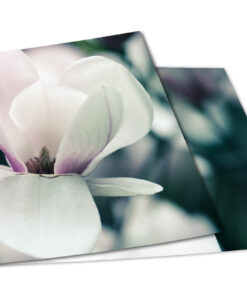 Magnolia Memory