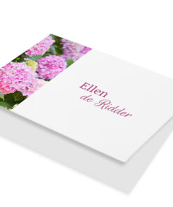 Roze hortensia
