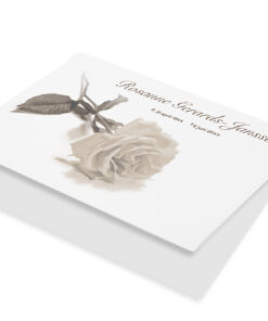 Witte roos sepia