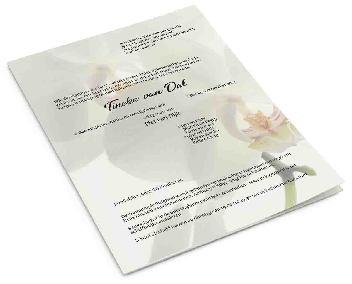 Witte Orchidee