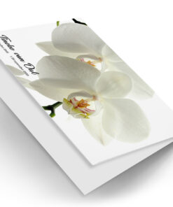 Witte Orchidee