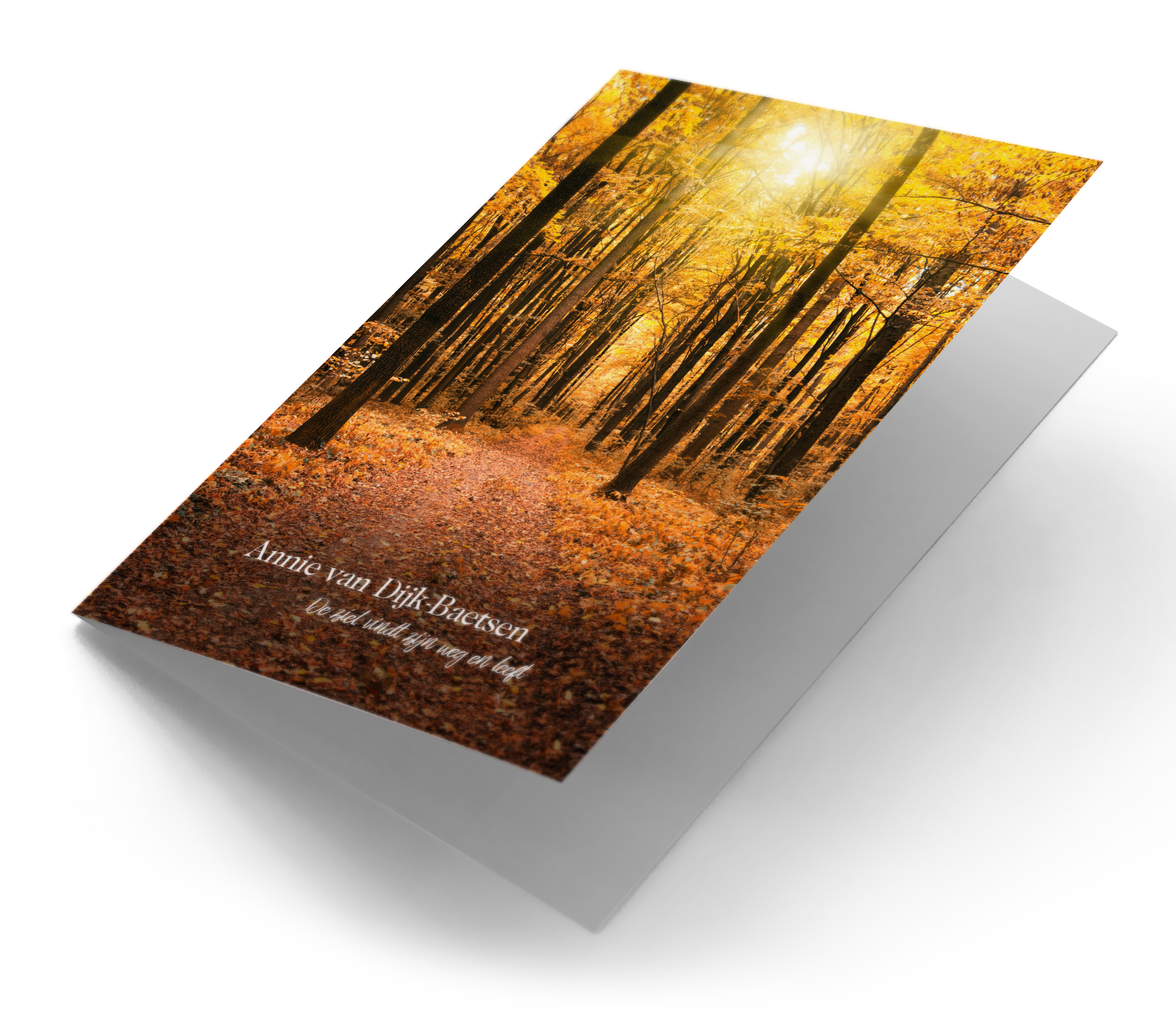 Herfstbos 2021