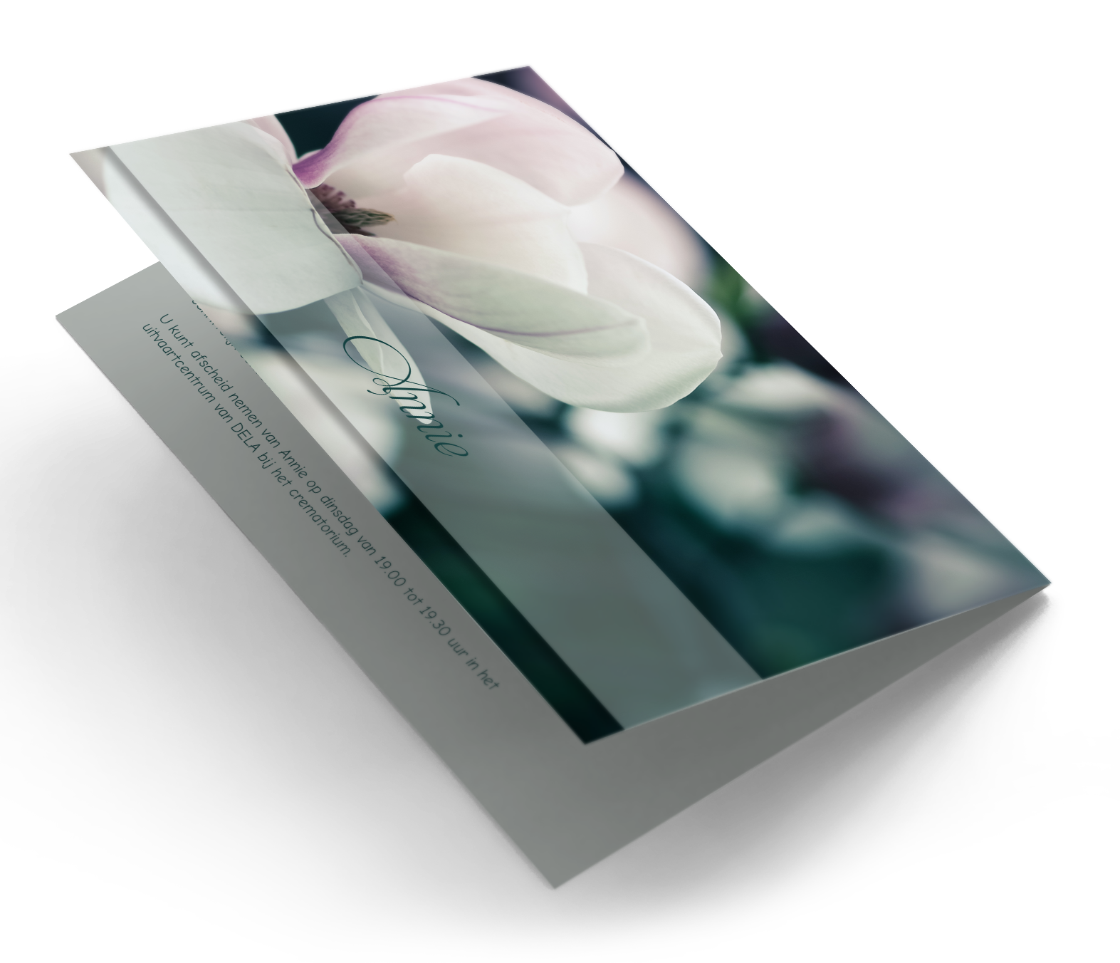 Magnolia Memory