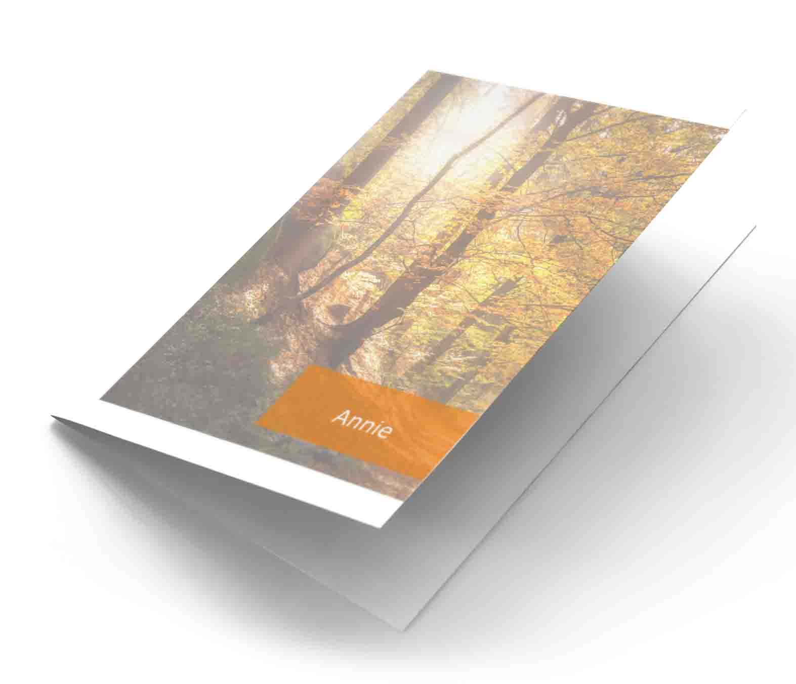 Herfstbos