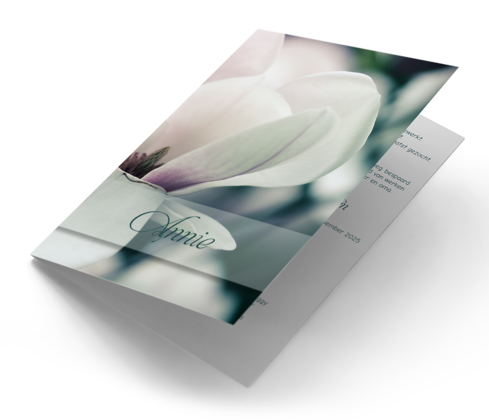 Magnolia Memory
