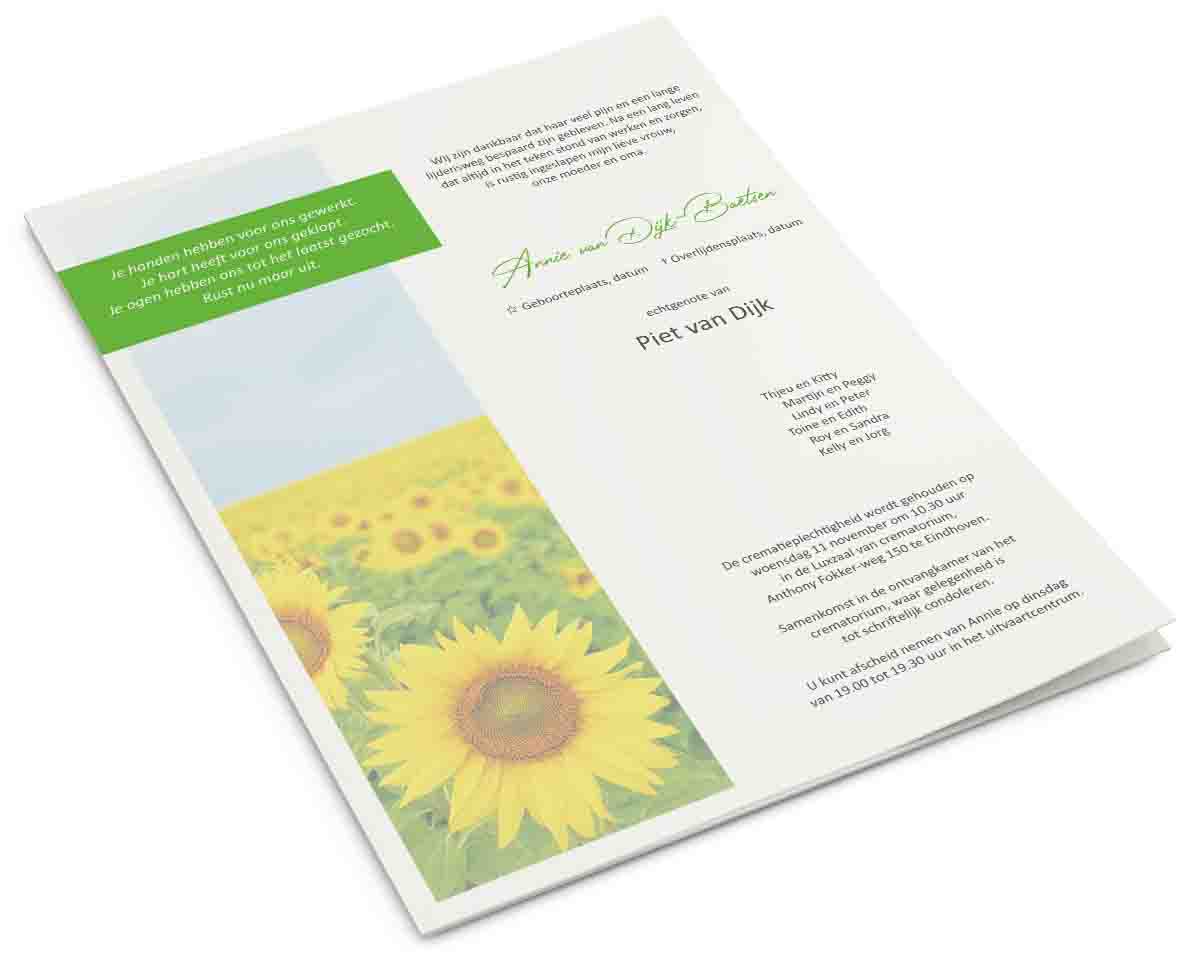 Zonnebloem 2023
