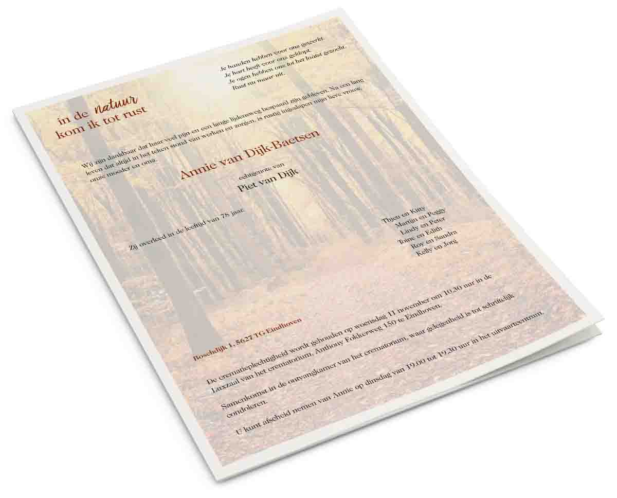 Herfstbos 2021