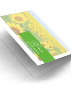 Zonnebloem 2023