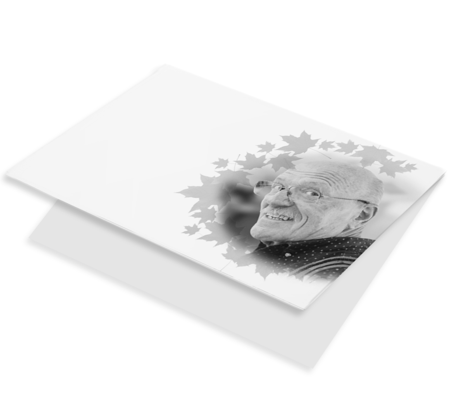 Fotokaart zwart wit met bladeren