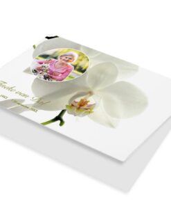 Witte Orchidee met foto