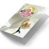 Witte Orchidee met foto