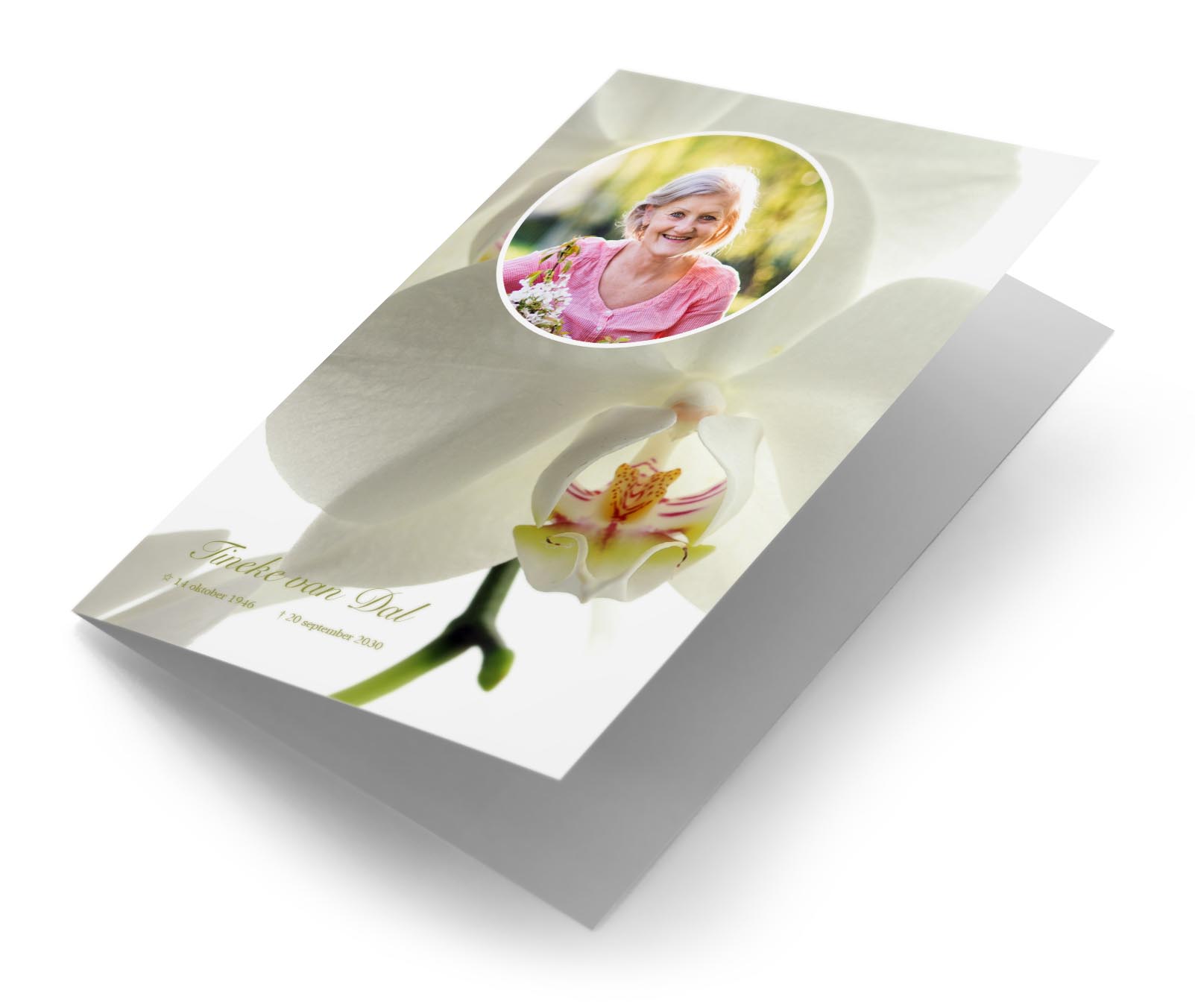 Witte Orchidee met foto