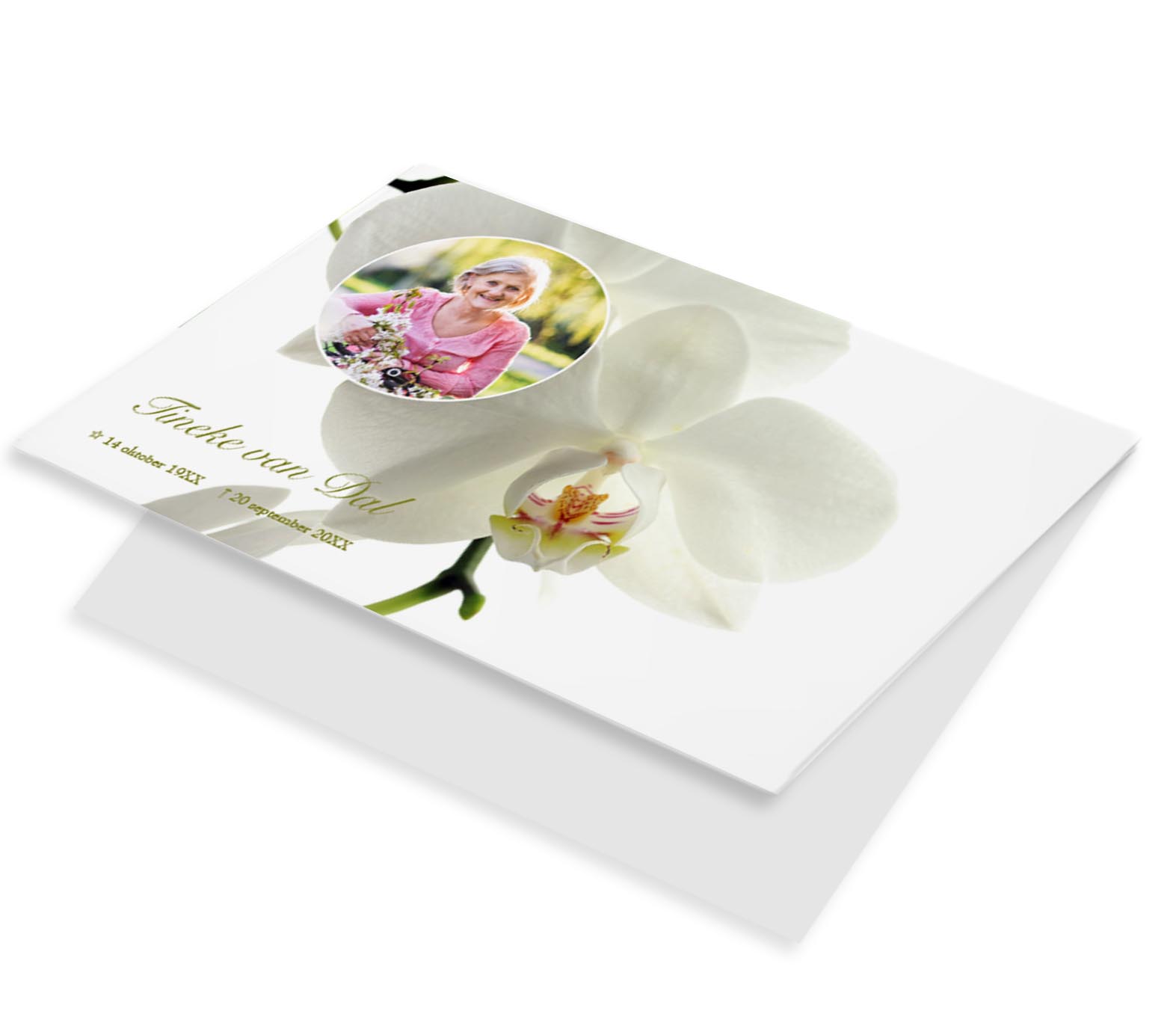 Witte Orchidee met foto