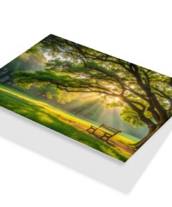 Park met zonnestralen