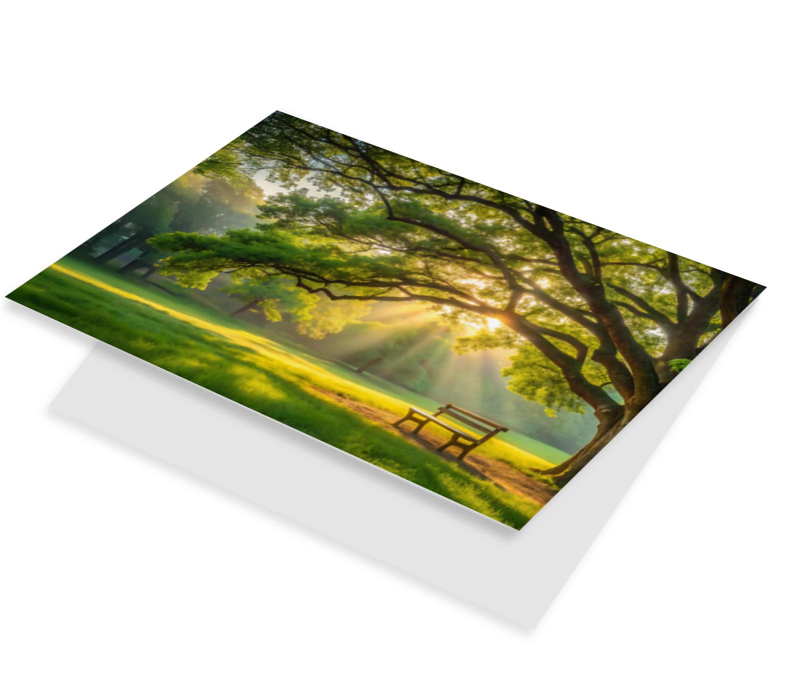Park met zonnestralen