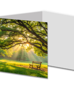 Park met zonnestralen