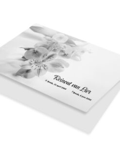 Orchidee zwart wit