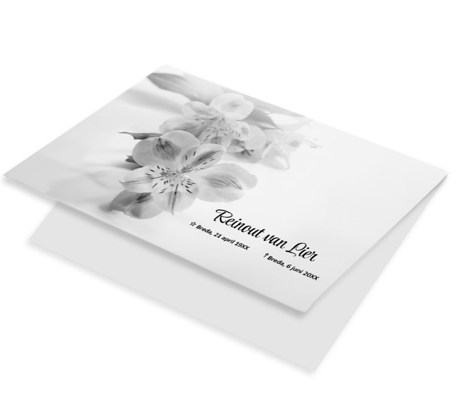 Orchidee zwart wit