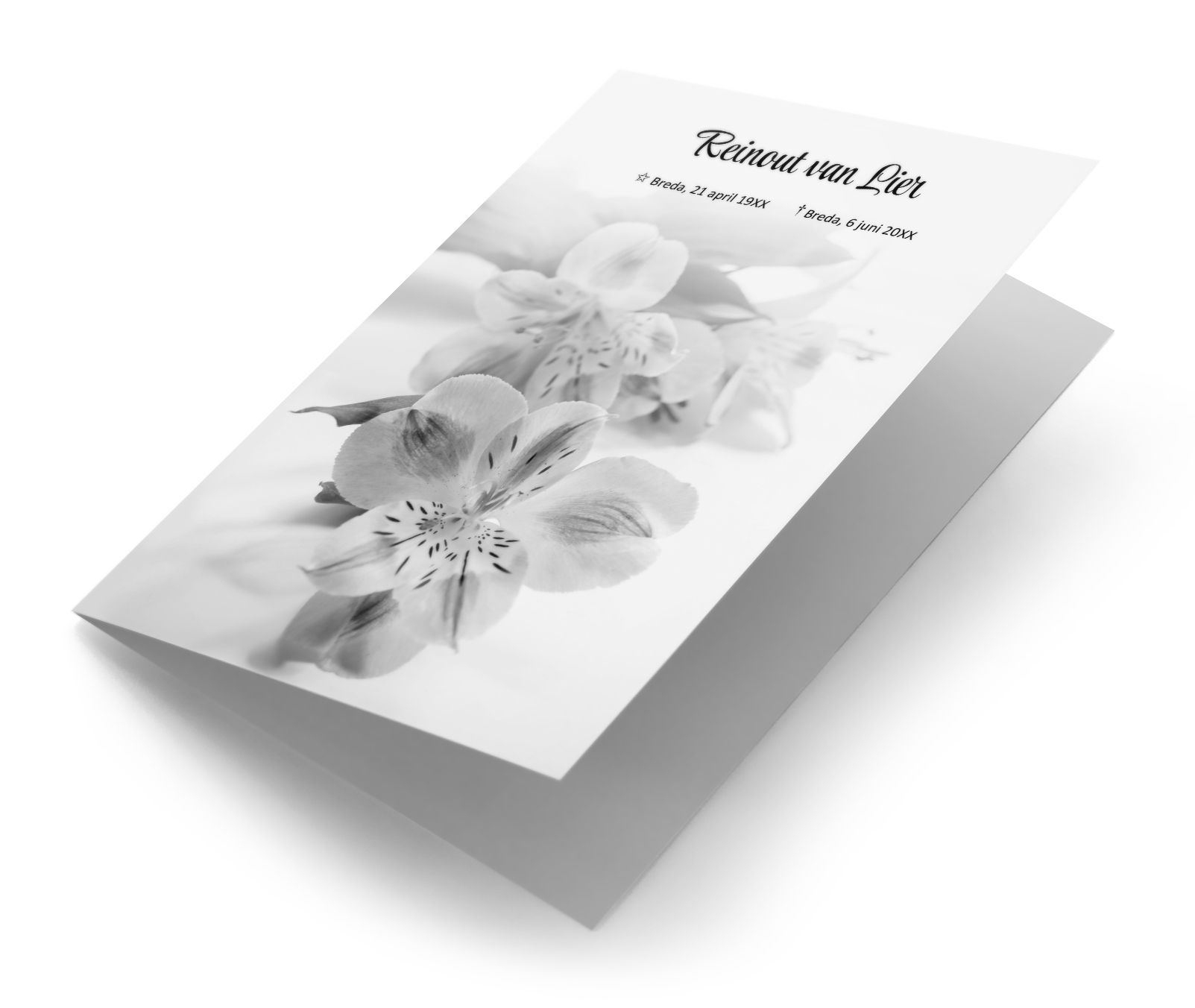Orchidee zwart wit
