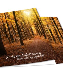 Herfstbos 2021