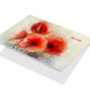Aquarel rode papaver