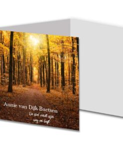 Herfstbos 2021