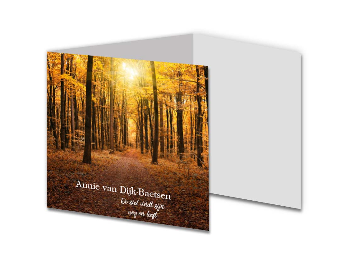 Herfstbos 2021